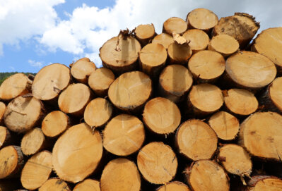 Gestapeltes Holz aus regionalem Sägewerk